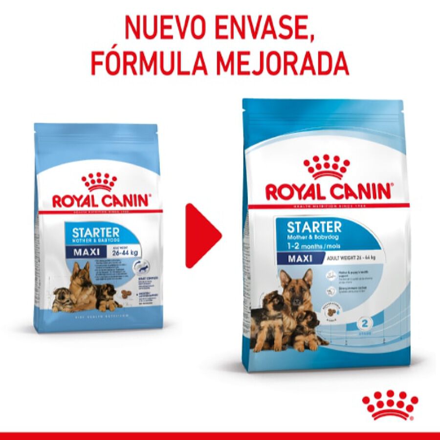 Royal Canin Starter Maxi Mother&Baby ração para cães, , large image number null